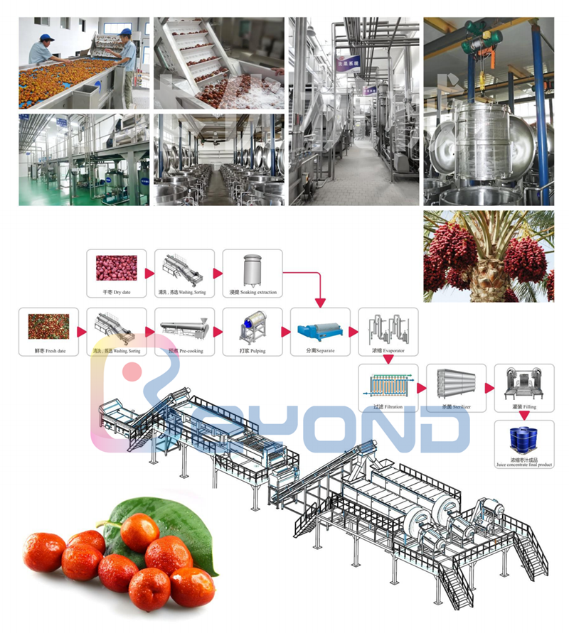 1627033159718381.png 3,2019果蔬綜合樣本_04_副本.png